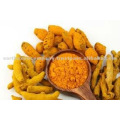 SALEM TURMERIC FROM INDIA